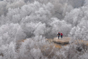 #CHINA-HEILONGJIANG-QIQIHAER-RIME (CN)