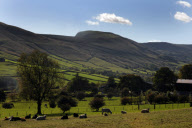 Britain - 2010