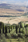 Pienza ITALY