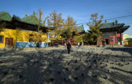 Mongolia  - Oct 2010