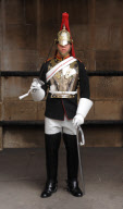 Household Cavalry on parade in Whitehall inside Horse Guards Parade, London, Britain - 21 Jun 2009