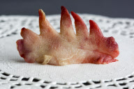 'Yuck! The Things People Eat' Food Project - Nov 2010