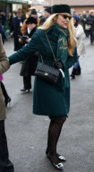 Hennessy Gold Cup, Newbury Racecourse, Britain - 27 Nov 2010