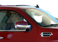 Britney Spears Takes The Boys On A Burger Run!
