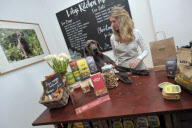 The UK's first pop-up doggy diner Lily's Kitchen Diner located beside the weekly Pimlico Road Farmers' Market, London Sw1.