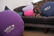 The UK's first pop-up doggy diner Lily's Kitchen Diner located beside the weekly Pimlico Road Farmers' Market, London Sw1.