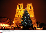 PARIS lights up for Christmas