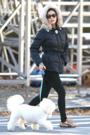 Catherine Zeta-Jones Taking Her Dog for a Walk in Central Park