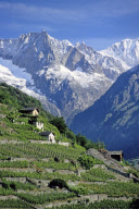 Switzerland