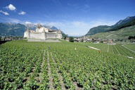 Switzerland