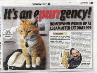 Ginger the cat who accidentally dialled 999, Swansea, Wales - 09 Dec 2010