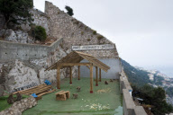 Gibraltar Monkeys