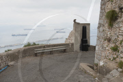 Gibraltar Monkeys