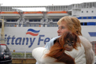 Baby orangutan makes 24-hour journey to new home in first class ferry cabin, Britain - 17 Dec 2010