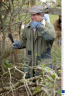 PRINCE CHARLES TRYS HIS HAND AT HEDGE LAYING AFTER TOURING THE NATIONAL HEDGE LAYING COMPETITION AT HOME FARM, TETBURY, BRITAIN - 29 OCT 2005