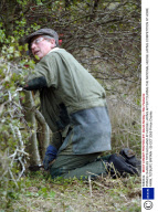 PRINCE CHARLES TRYS HIS HAND AT HEDGE LAYING AFTER TOURING THE NATIONAL HEDGE LAYING COMPETITION AT HOME FARM, TETBURY, BRITAIN - 29 OCT 2005