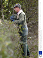 PRINCE CHARLES TRYS HIS HAND AT HEDGE LAYING AFTER TOURING THE NATIONAL HEDGE LAYING COMPETITION AT HOME FARM, TETBURY, BRITAIN - 29 OCT 2005