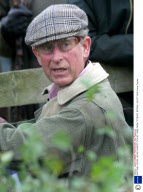 NATIONAL HEDGE LAYING COMPETITION AT HOME FARM, TETBURY, BRITAIN - 29 OCT 2005