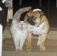 THE RAMSAYS XMAS PARTY