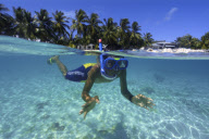 MARINE WILDLIFE