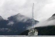 MARINE WILDLIFE