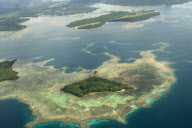 MARINE WILDLIFE