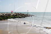 Various - 2009