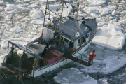 Various Canada - 2006