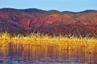 Australia - 2000