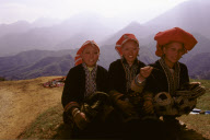 Vietnam - 2006