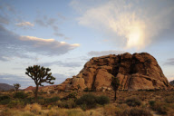 USA Joshua Tree National Park
