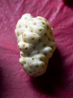 St Patrick Grenada WEST INDIES