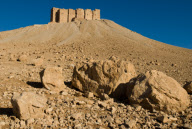 Syria - Mar 2009