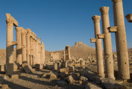Syria - Mar 2009