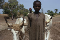 Agriculture SENEGAL