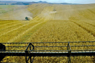 Wheat harvest in progress in Gyermely, Hungary - 15 Jul 2009