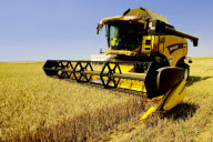 Wheat harvest in progress in Gyermely, Hungary - 15 Jul 2009