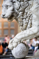 Florence