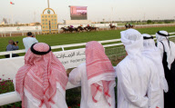 Purebred Arabian Horse Race at the Abu Dhabi Equestrian Club, Abu Dhabi, UAE - 22 Nov 2009