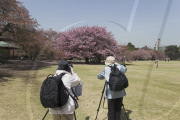 Tokyo, Japan - 2010