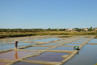 Salt production on the marshes at L'lle d'Olonne, Vendee, France - Sep 2010