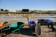 Salt production on the marshes at L'lle d'Olonne, Vendee, France - Sep 2010