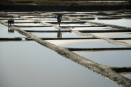 Salt production on the marshes at L'lle d'Olonne, Vendee, France - Sep 2010