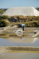 Salt production on the marshes at L'lle d'Olonne, Vendee, France - Sep 2010