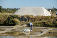 Salt production on the marshes at L'lle d'Olonne, Vendee, France - Sep 2010