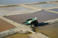 Salt production on the marshes at L'lle d'Olonne, Vendee, France - Sep 2010