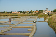 Salt production on the marshes at L'lle d'Olonne, Vendee, France - Sep 2010