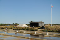 Salt production on the marshes at L'lle d'Olonne, Vendee, France - Sep 2010