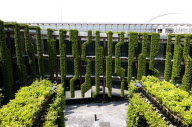 ARCHITECTURAL STOCK Pavilion