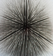 ARCHITECTURAL STOCK Pavilion
